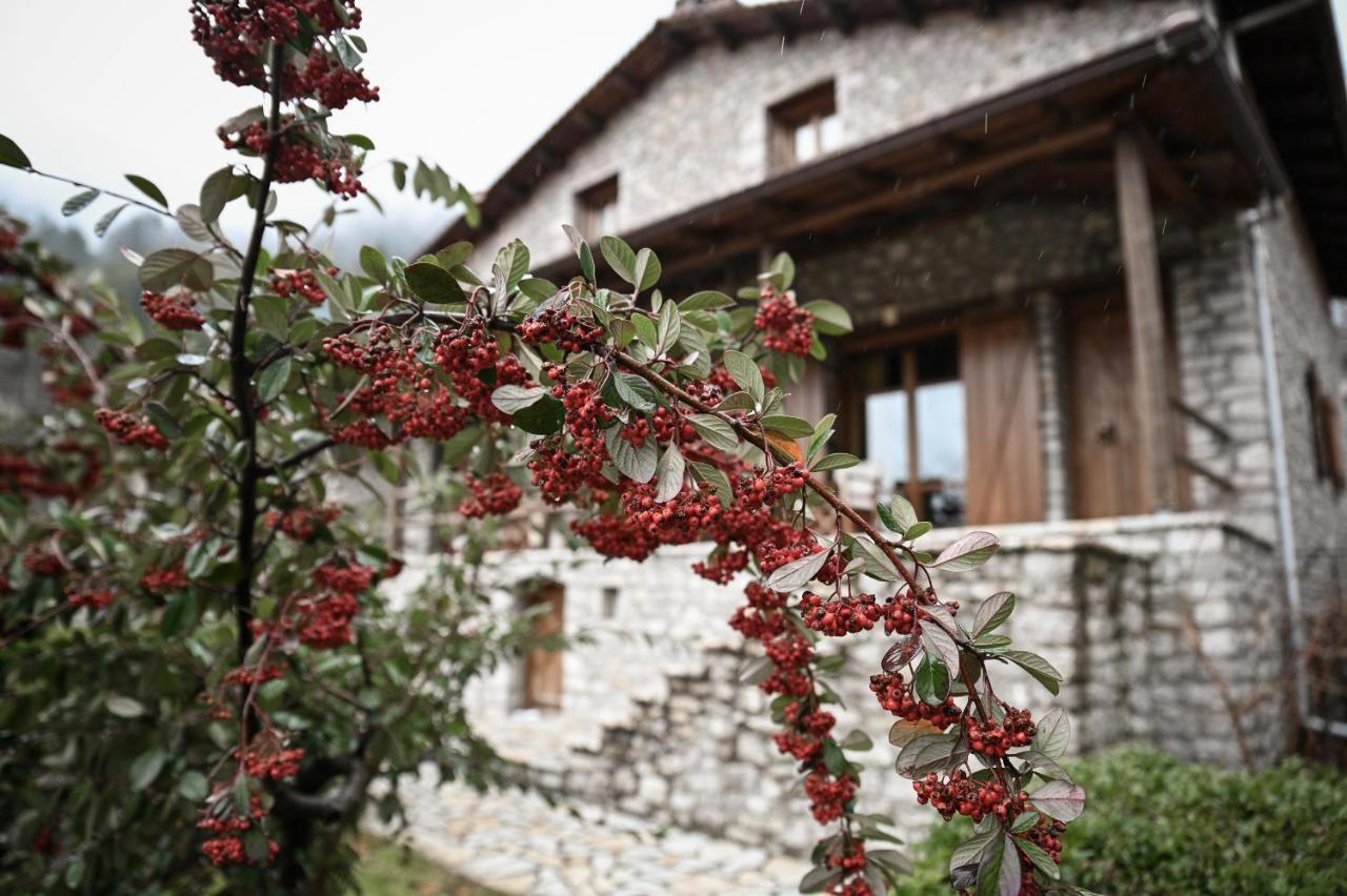 Vila Petrina Theohari Lekhouri Exteriér fotografie