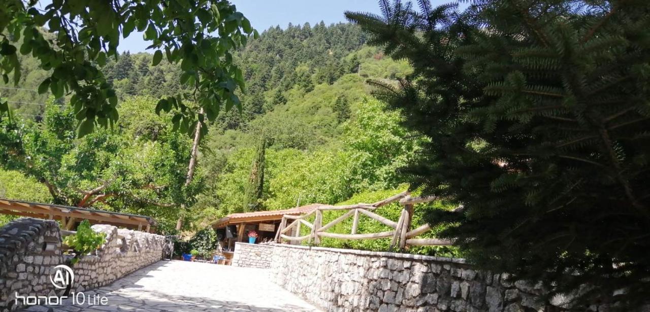 Vila Petrina Theohari Lekhouri Exteriér fotografie