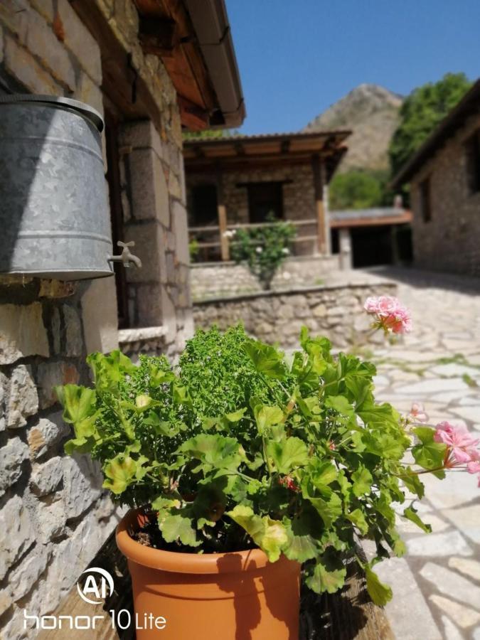 Vila Petrina Theohari Lekhouri Exteriér fotografie