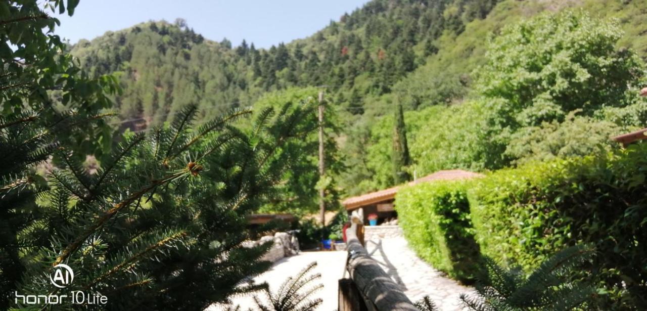 Vila Petrina Theohari Lekhouri Exteriér fotografie