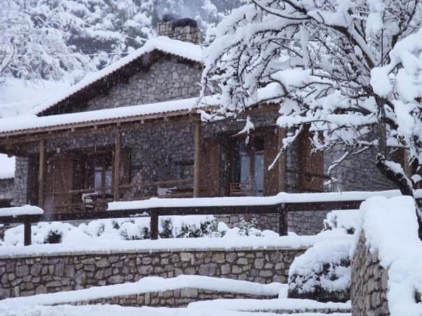 Vila Petrina Theohari Lekhouri Exteriér fotografie